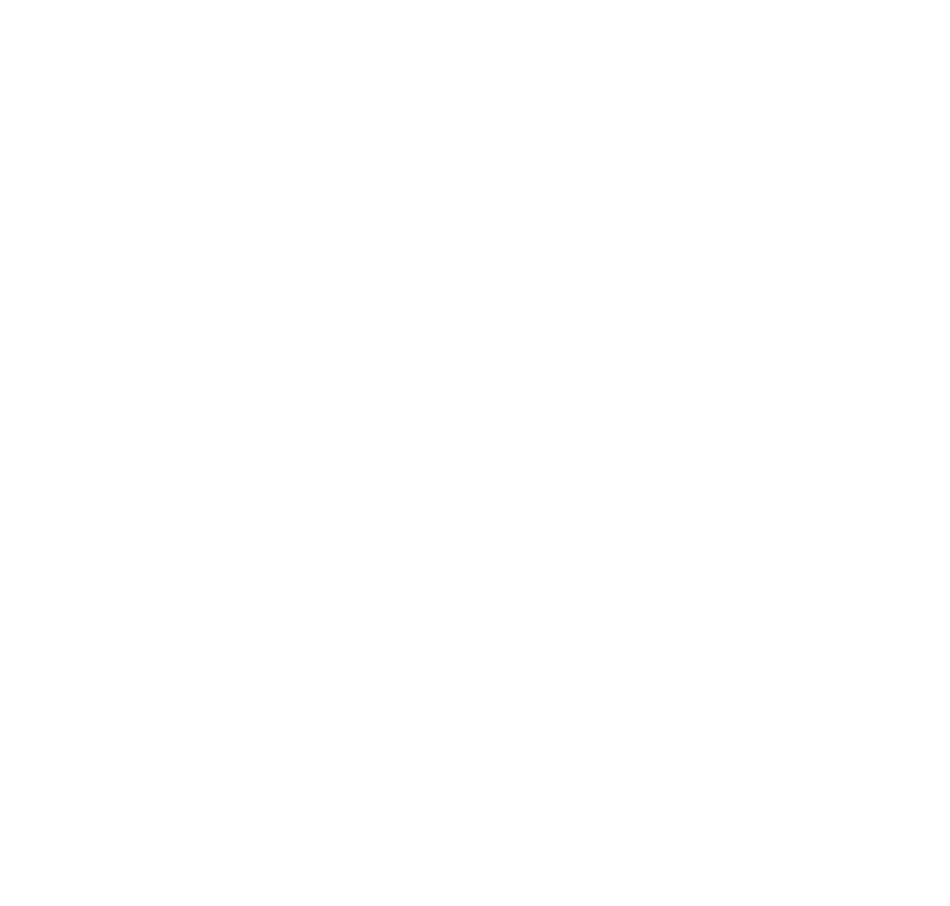 Roots Electric